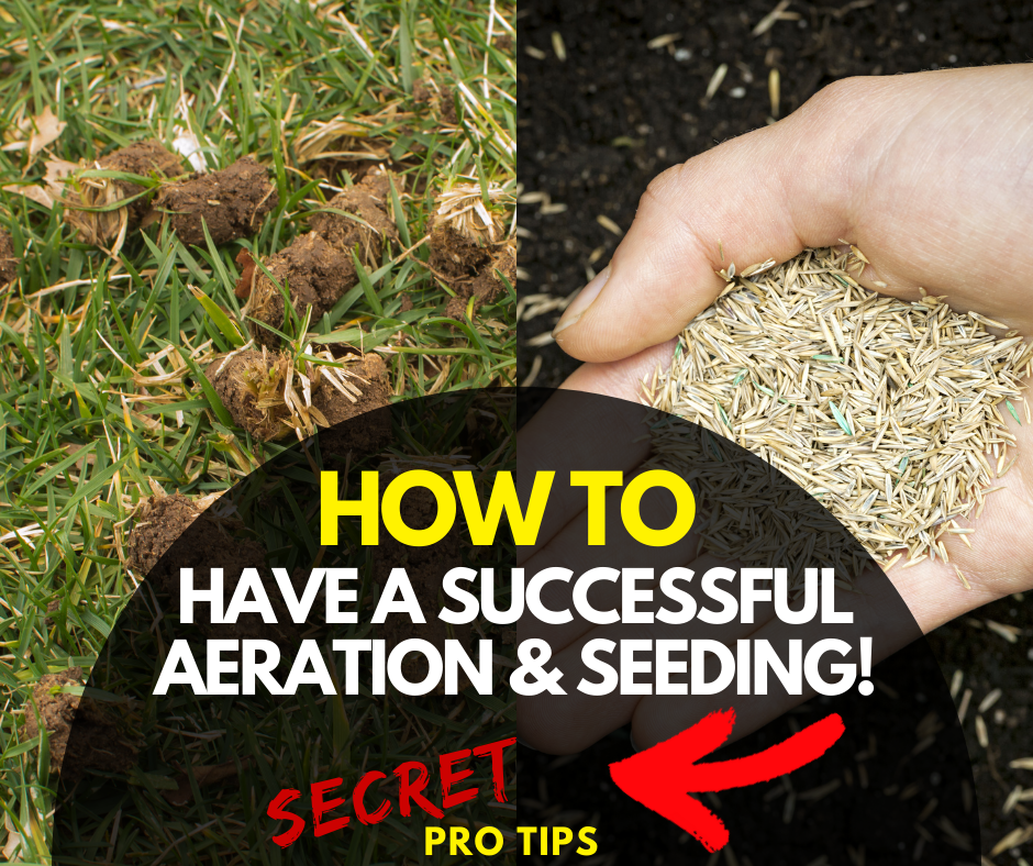 Seeding lawn after aeration discount
